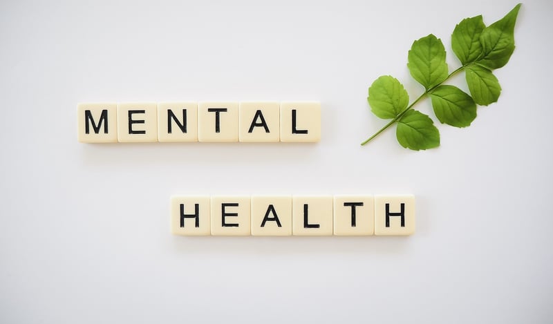 Mental Health Practices
